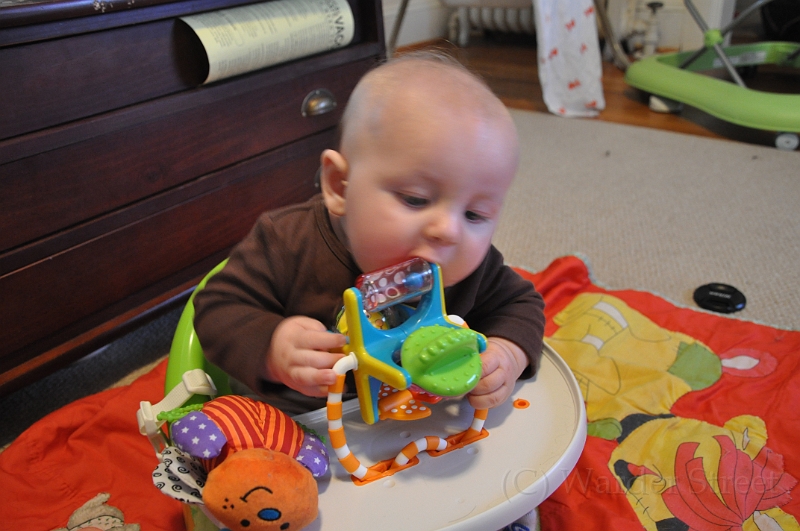 William's Nineteenth Week 34.jpg